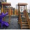 Image Caption