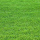 Çim 