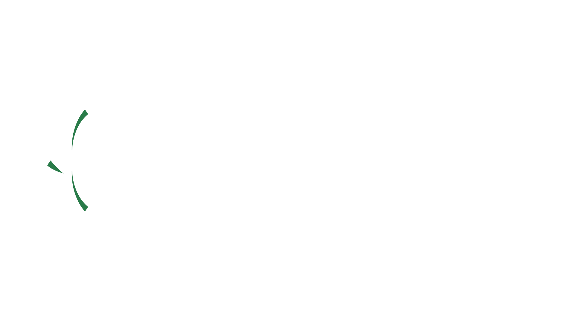 Kamelya Marketi